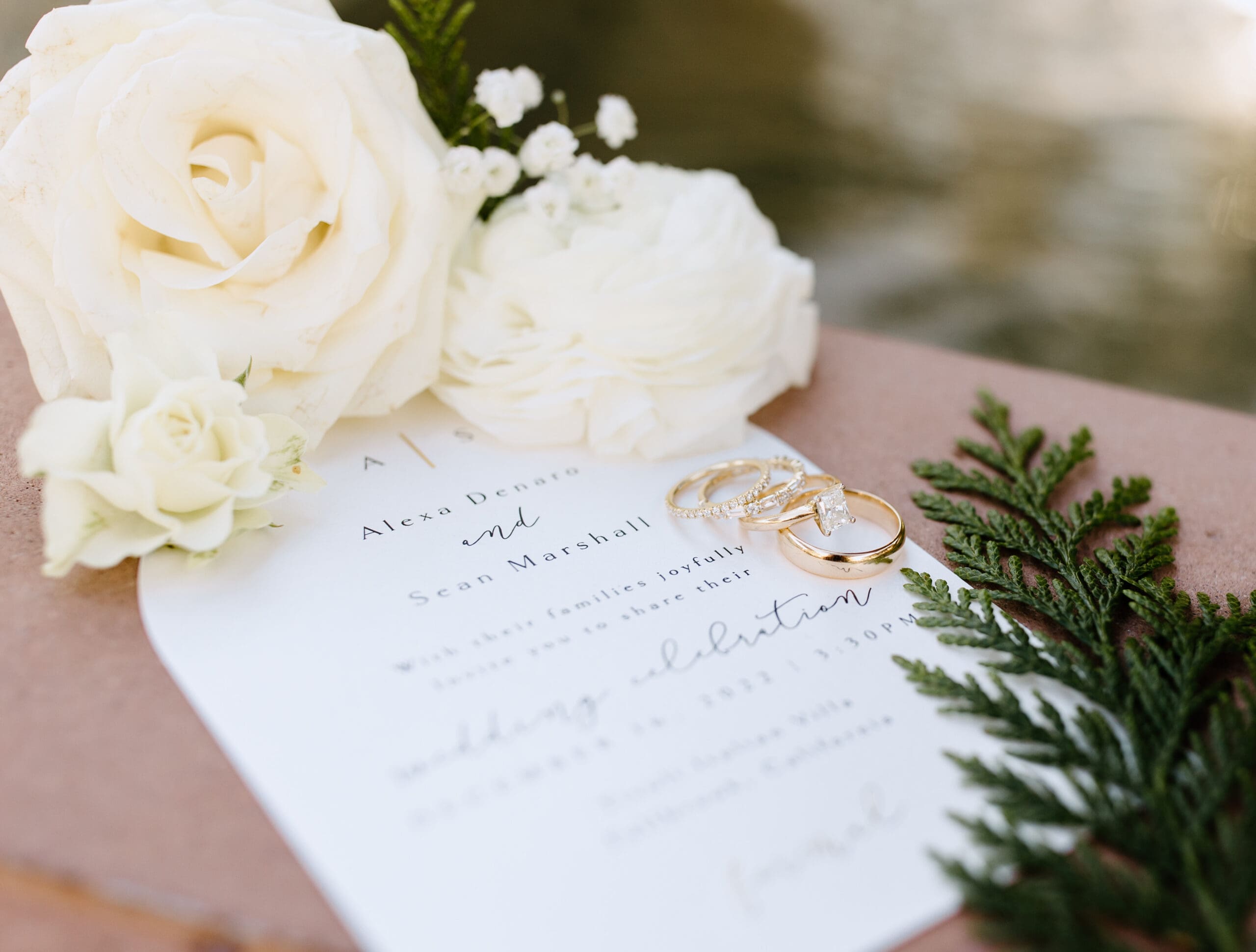 Some of the details of Sean and Alexa's wedding at Tivoli Italian Villa